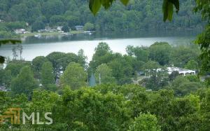 Georgia Mtn Estates Lot 8