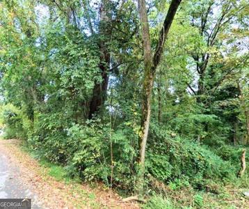 0 Oak Drive SE