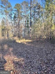 0 Bluff Road