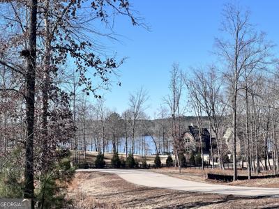Lot 61, Greensboro GA 30642 Open Water Drive
