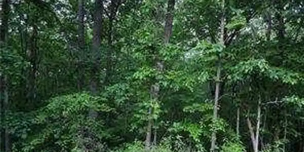 Old Mckaskey Creek Road SE, Cartersville GA 30121