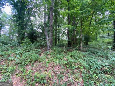 76 Lake Top Drive SE