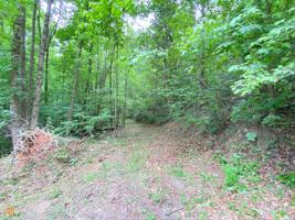 0 Mountain Laurel Drive