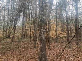 LOT 145 Chateau Dr.
