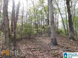 94 Wright Way Drive