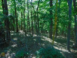 747 747 Tee Ct Lot 282