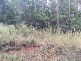 Lot 14 B Lake Mist Dr