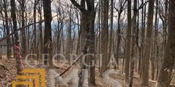 0 Big Stump Mountain Trail