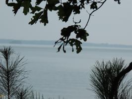 Lot 12 Lake Pointe Rd