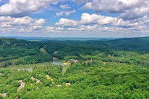 8261 Cox Mountain