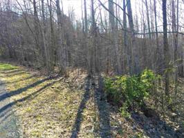 Lot 9 Ramey Mountain Rd