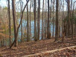 Pine Ridge Dr Lot 5