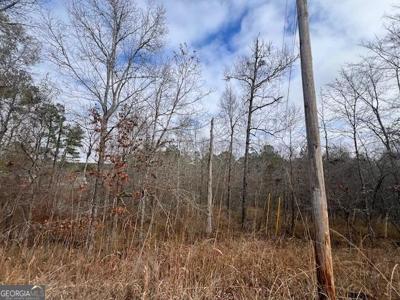 Lot 303 Sunshine Drive, Sparta GA 31087