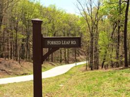 Lot 22 Forked Leaf Dr