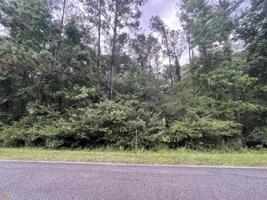 0 (LOT#37) Strickland Pasture Road