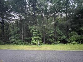 0 (LOT#38) Strickland Pasture Road
