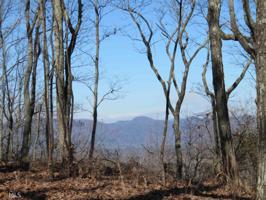 #135 #135 Timber Rock Dr Lot 135
