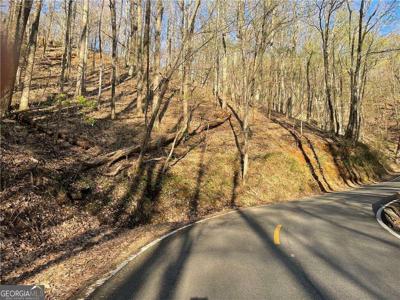 8038 WILDERNESS PKWY, Jasper GA 30143