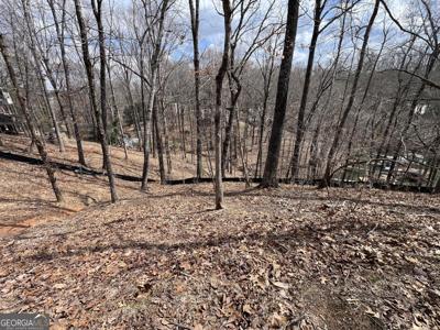 3393 Banks Mountain Drive, Gainesville GA 30506