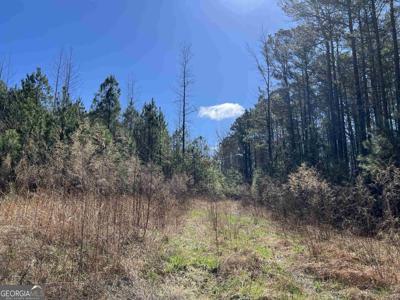 341 Wilderness Camp Road SE