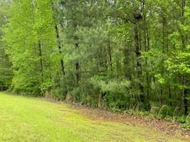 0 Reed Creek Point