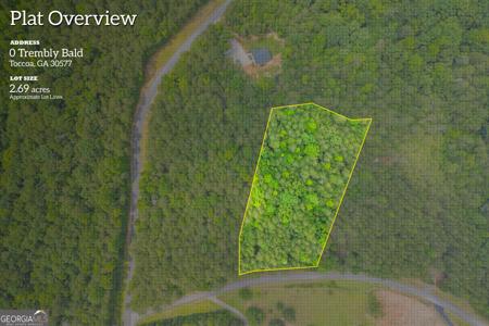 Trembly Bald Road, Toccoa GA 30577