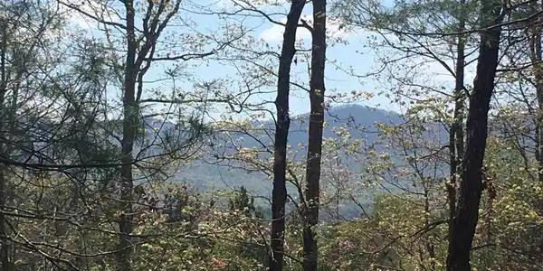 Lot 1108/9 Oglethorpe Mountain Rd