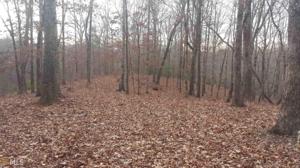 Lot 176 N Laceola Rd