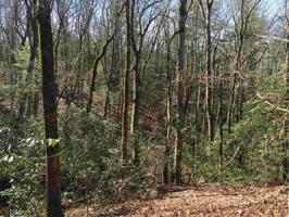 132 South Laceola Rd