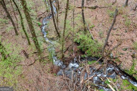 Lot 4527 Sassafras Mountain Trail, Jasper GA 30143