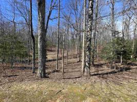 LOT#167 N Laceola Road