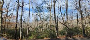 LOT 18 Victoria Woods Circle