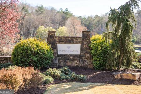 LOT 17 Old Toccoa Farm Loop
