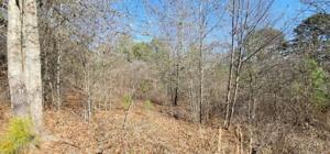 260 S Edgewater Trail