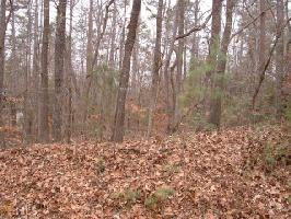 43  Rolling Wood Point Subdivision Lot 43