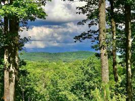 0 Carters View Drive