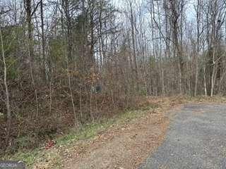 Overlook Trail # 39, Hiawassee GA 30546