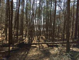 234,132  S Chattahoochee Dr Lot 234,132