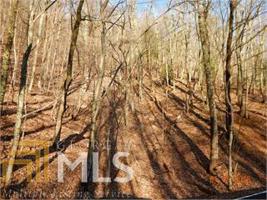 4104 Woodland Trce