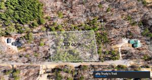 489 Trudys Trail