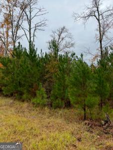 2290 Gwendale Drive W, Lizella GA 31052