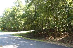 37  Indian Bend Trl Lot 37