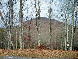 Lot 115 S Laceola Rd