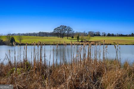 10 Legacy View, Hartwell GA 30643