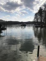 472 Knottywood