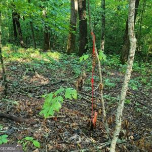 154-5 Dogwood Circle, Hayesville NC 28904