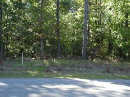 Lot 4 County Rd 450