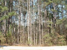 718 718 Estatohe Cir Lot 51