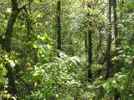 324  Arrowhead Dr Lot 324