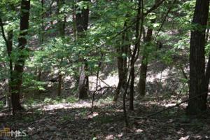 4522 Sassafras Mountain Trail